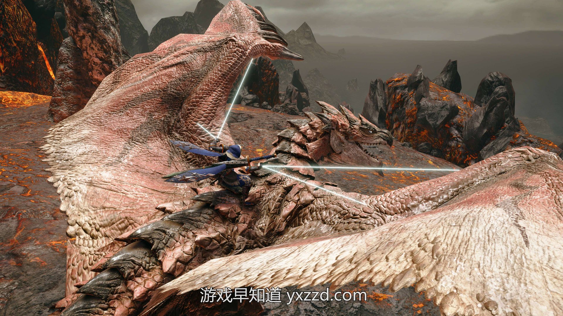 空洞骑士 年度版 截图13